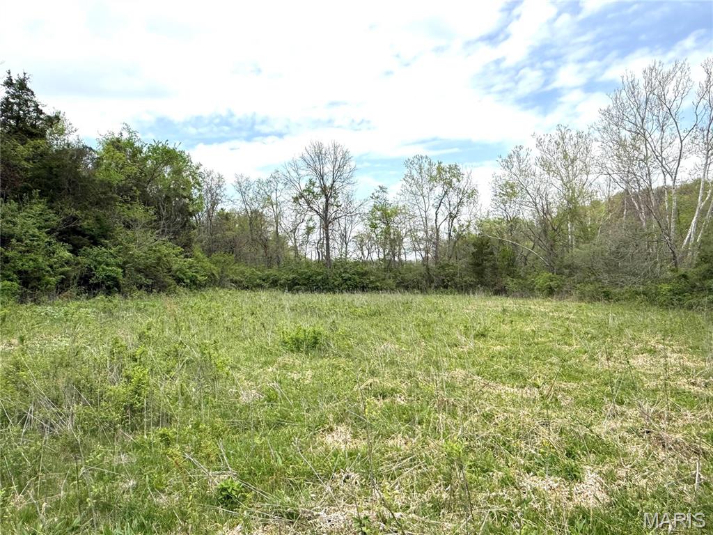 19201 St Albans Road Wildwood, MO 63038 - Photo 11 of 14
