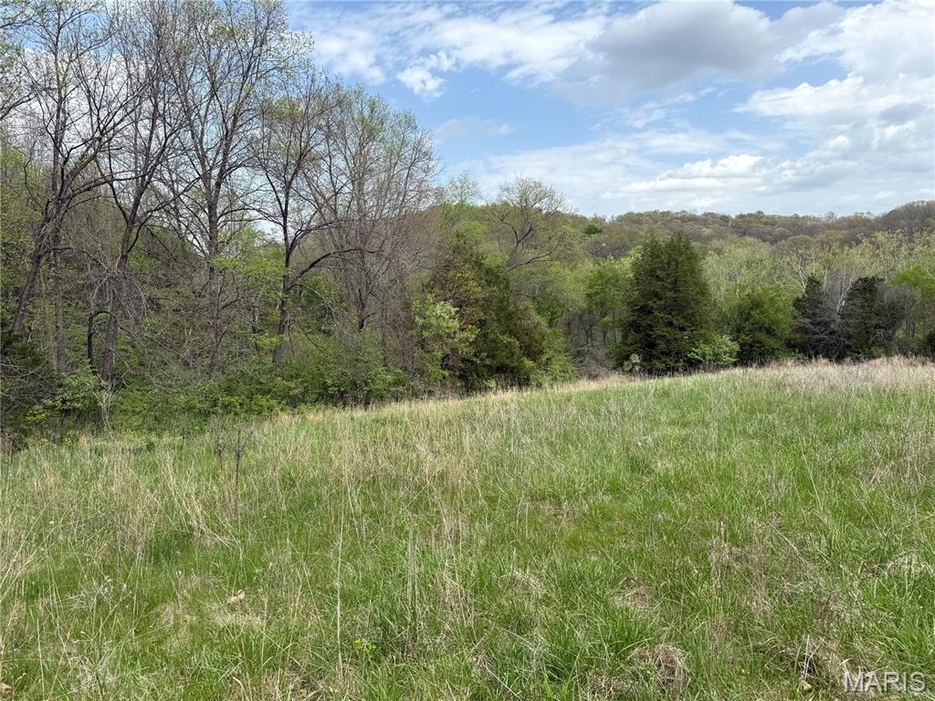 19201 St Albans Road Wildwood, MO 63038 - Photo 7 of 14