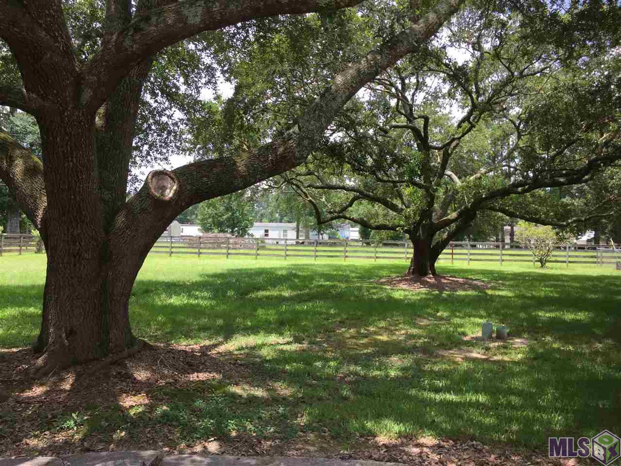 34240 Cane Market Road Walker, LA 70785 - Photo 4 of 11
