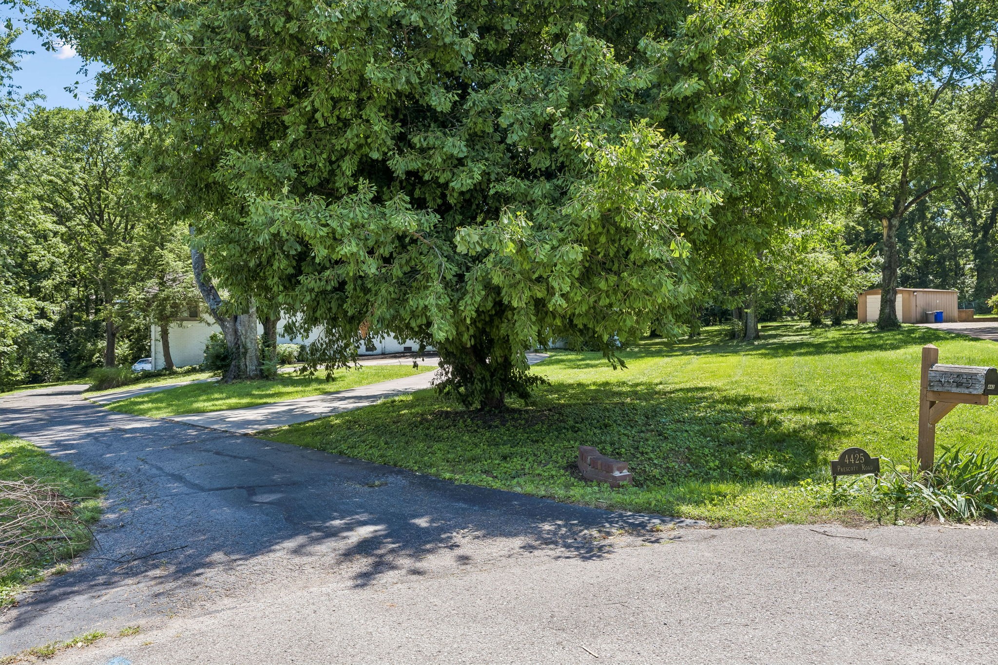 4425 Prescott Road Nashville, TN 37204 - Photo 35 of 36 a view of a garden with a tree