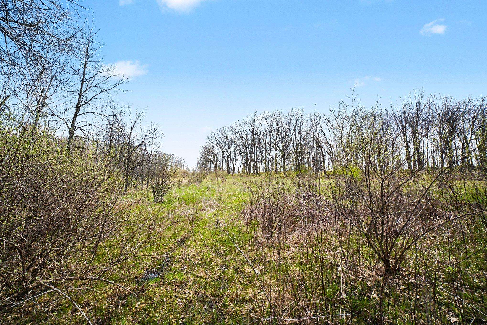 Tbd North Crystal Road Vestaburg, MI 48891 - Photo 7 of 21