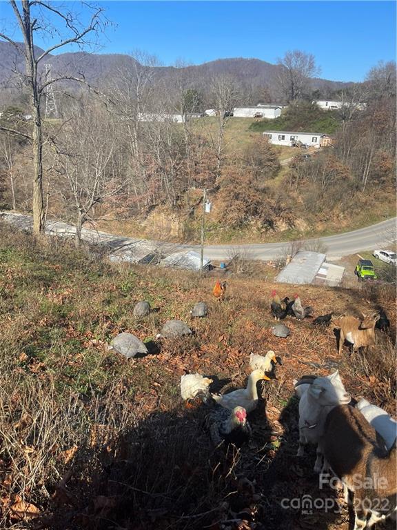 541 Incinerator Road Clyde, NC 28721 - Photo 11 of 11 a view of lot of city