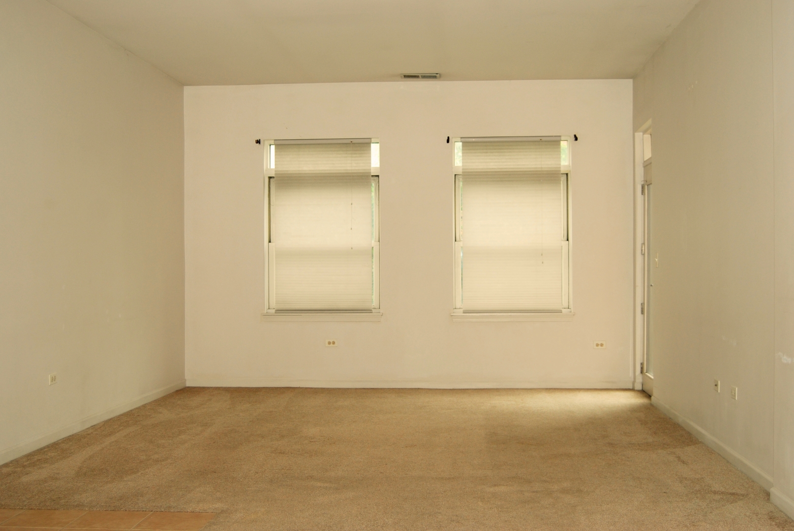 1431 South Halsted Street, Unit 3A Chicago, IL 60607 - Photo 3 of 12