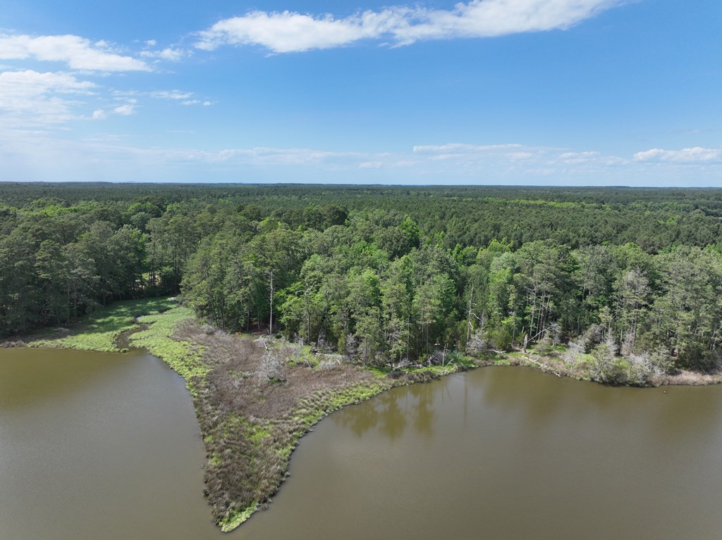 Lot 1 Mt Nebo Road, Unit 1 Onancock, VA 23417 - Photo 10 of 19