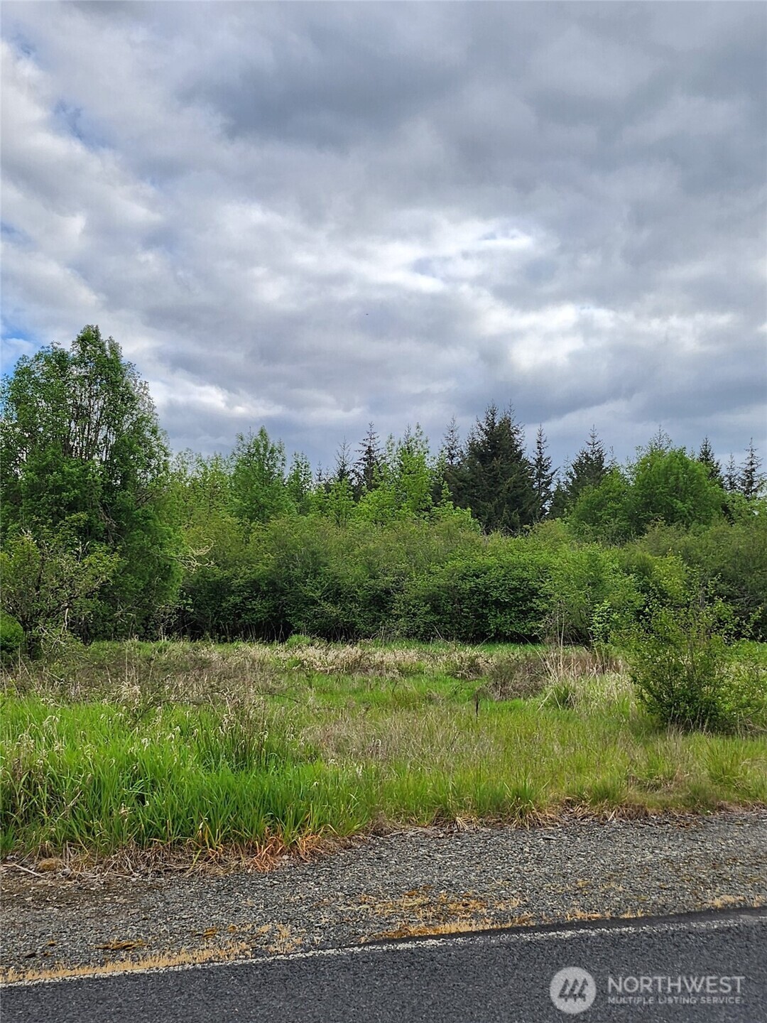 0 Henriot Road Winlock, WA 98596 - Photo 1 of 7