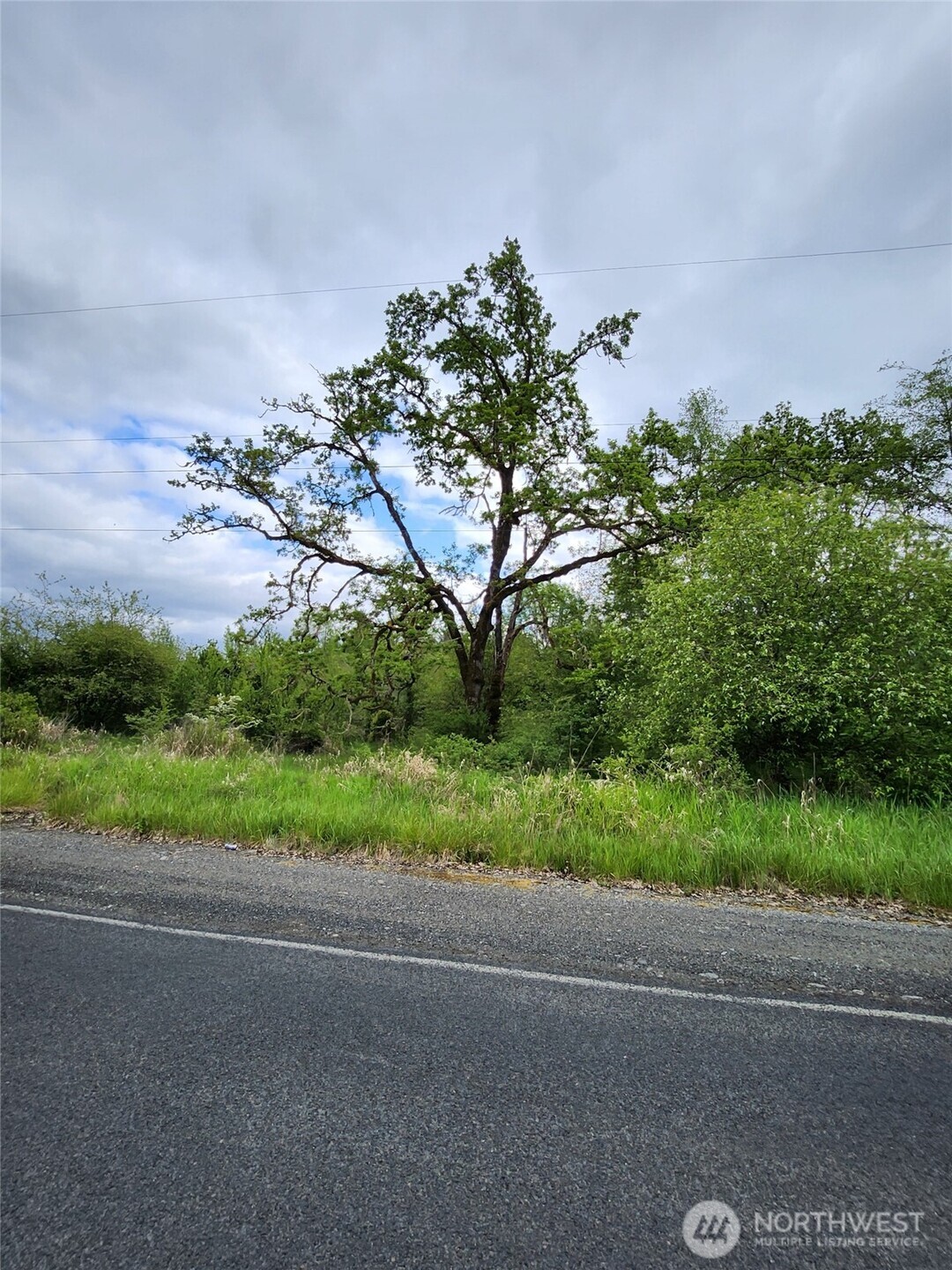 0 Henriot Road Winlock, WA 98596 - Photo 2 of 7