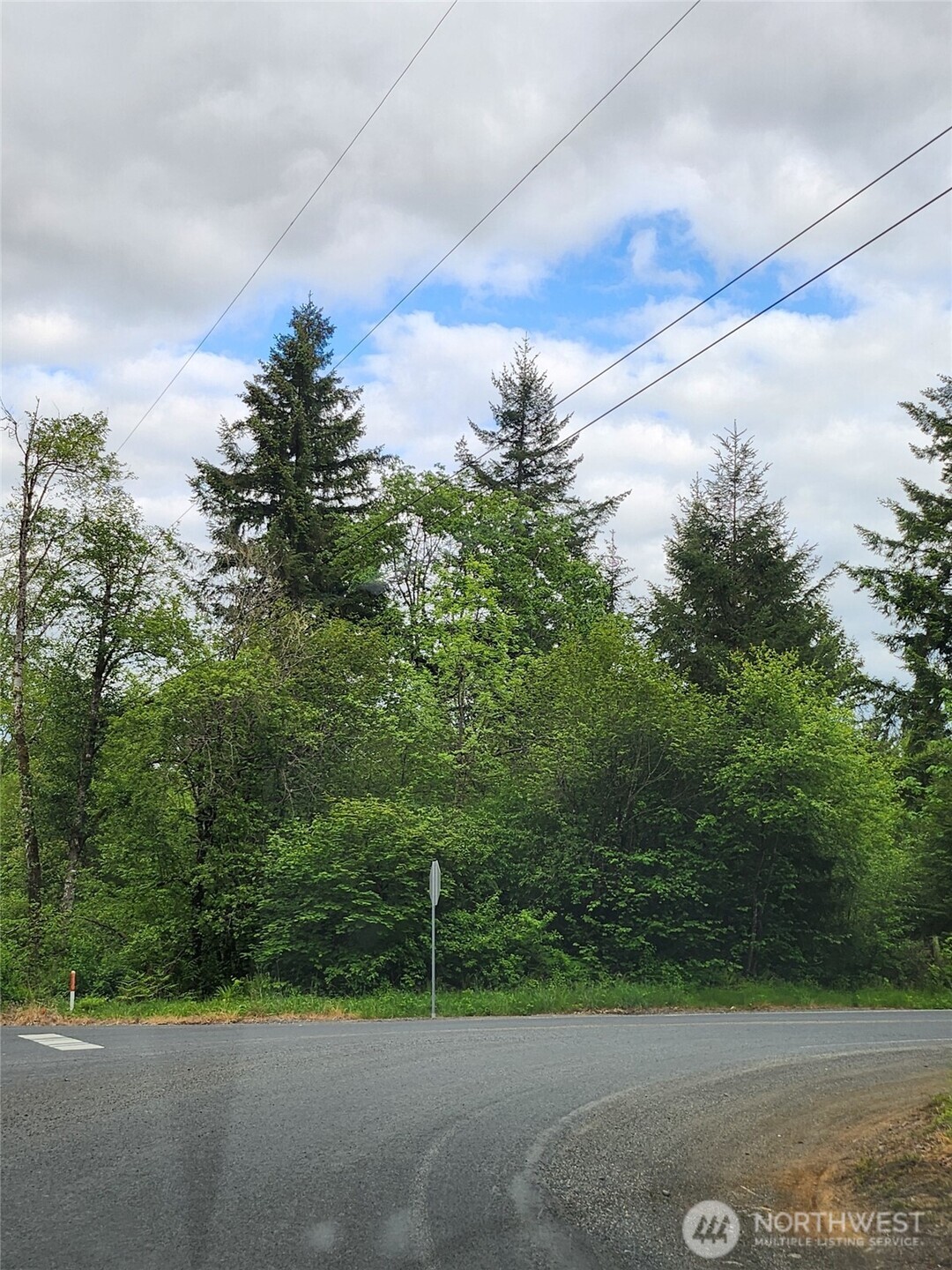 0 Henriot Road Winlock, WA 98596 - Photo 3 of 7