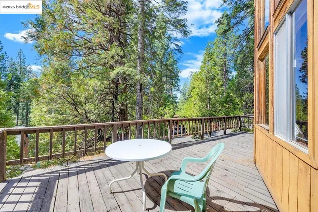 a view of a forest with a street