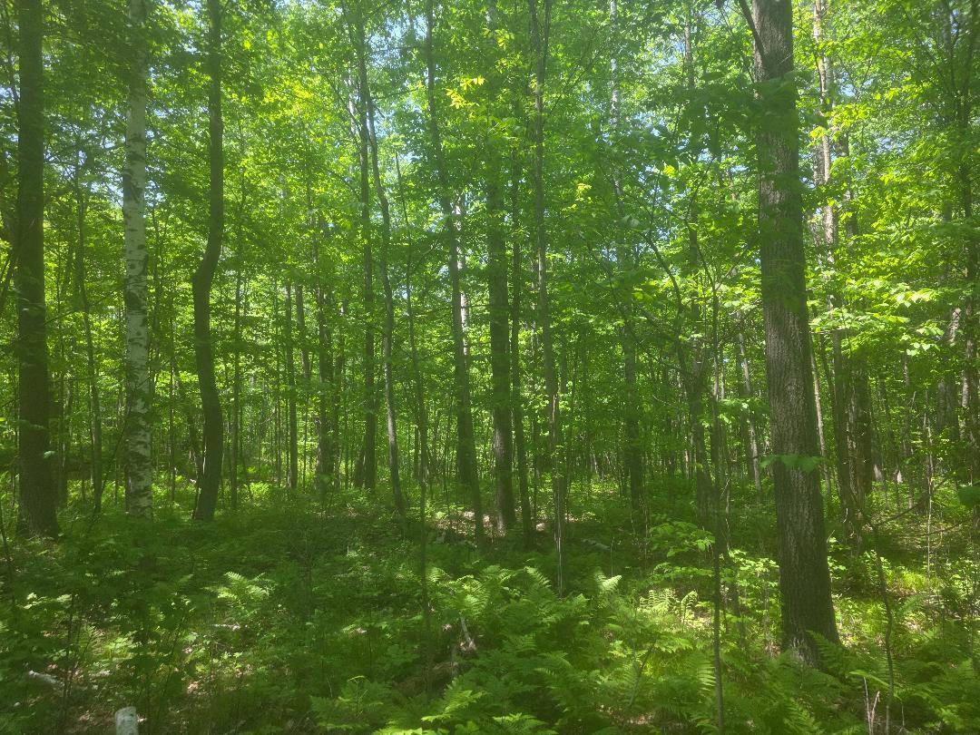 0 26 1/2 Cumberland, WI 54829 - Photo 7 of 11