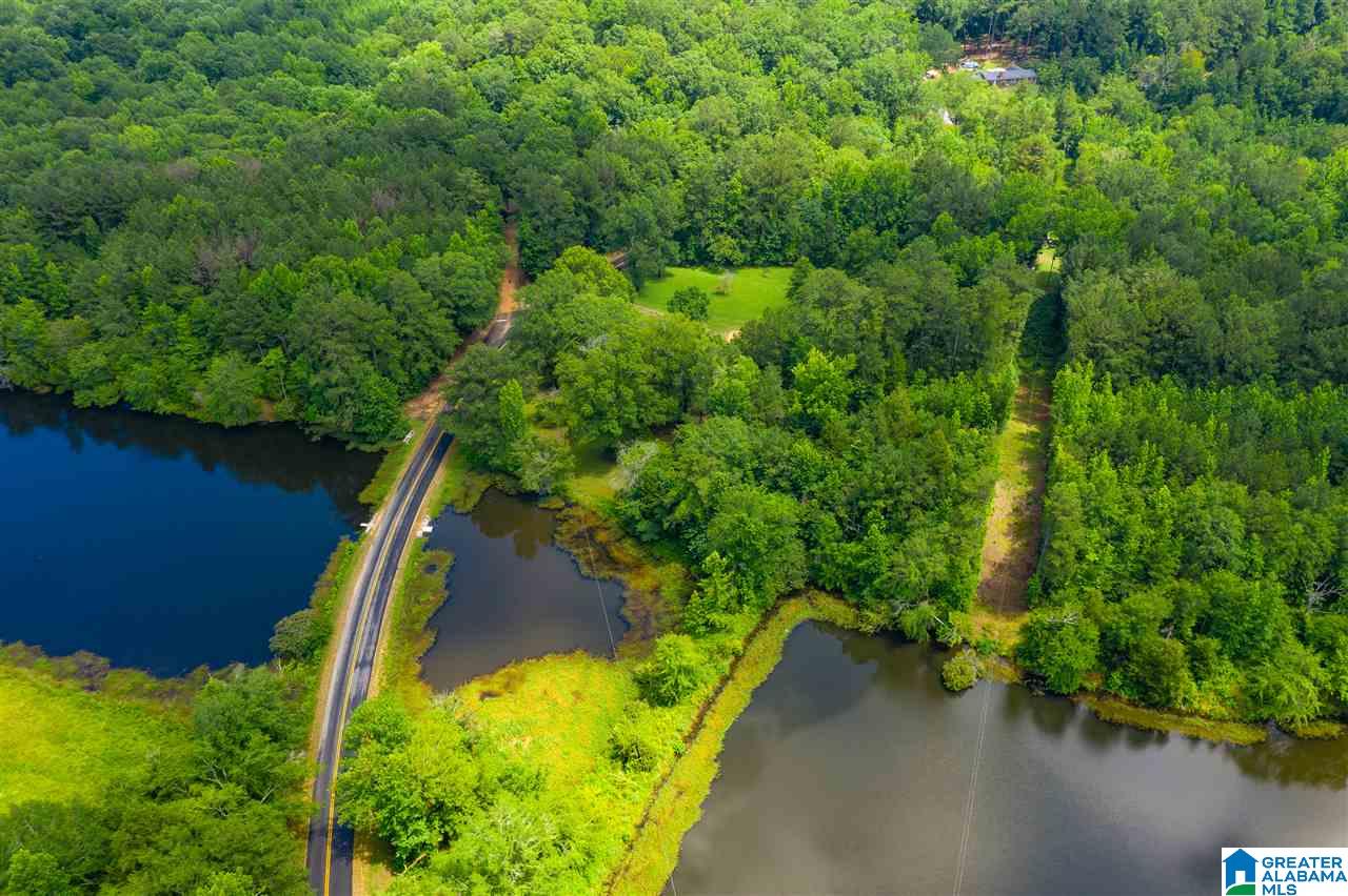 1281 Highway 59 Vincent, AL 35178 - Photo 31 of 38