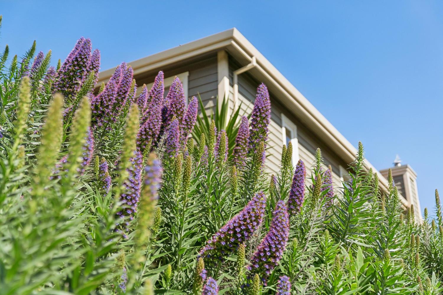 11798 Highway 1 Point Reyes Station, CA 94956 - Photo 50 of 64