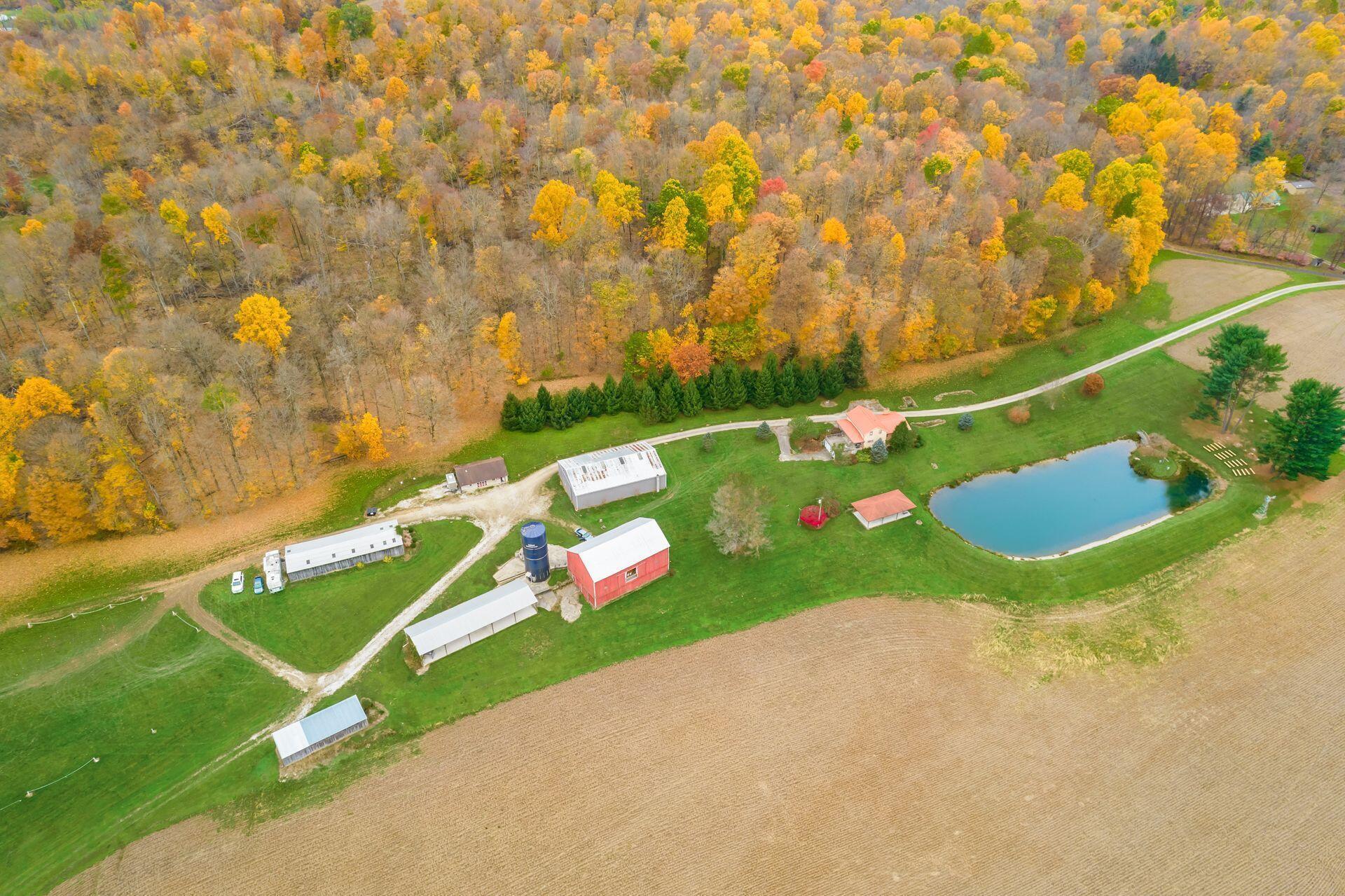 3159 Rider Road Lucas, OH 44843 - Photo 32 of 39 50+ WOODED ACRES