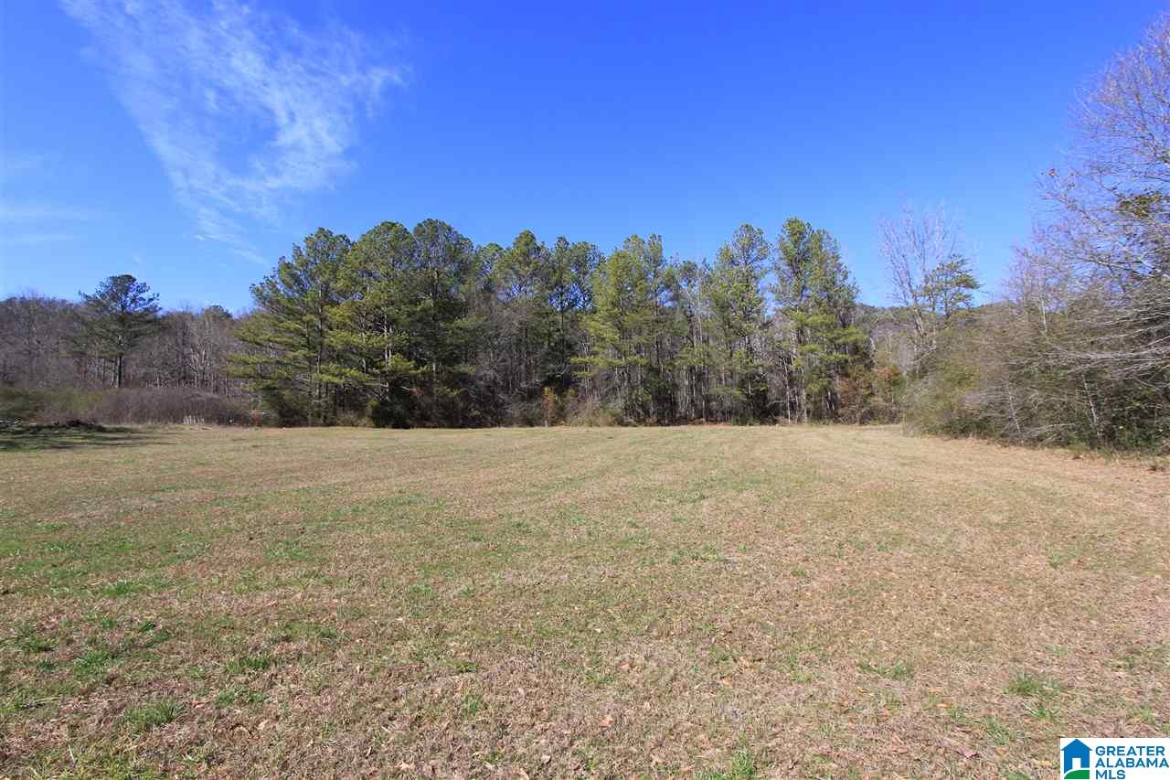 0 Rabbittown Road, Unit 14 11 Piedmont, AL 36272 - Photo 2 of 8