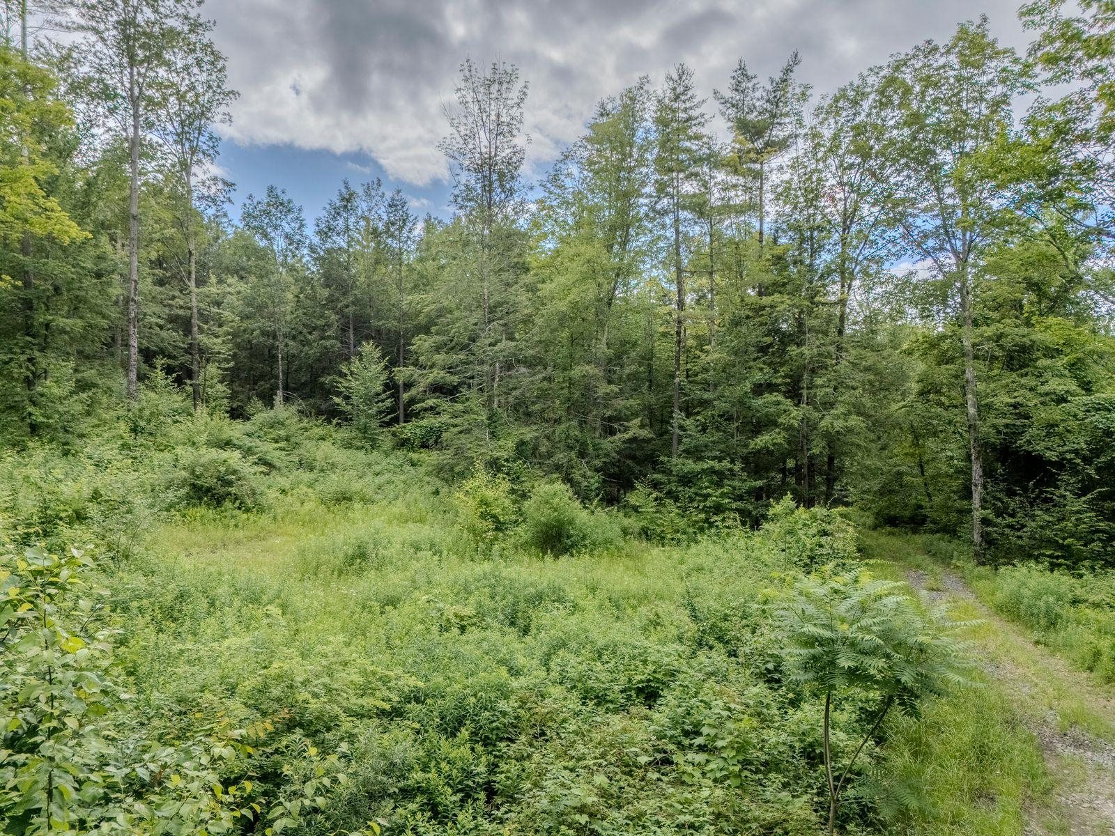1270 Melendy Hill Road Guilford, VT 05301 - Photo 14 of 16
