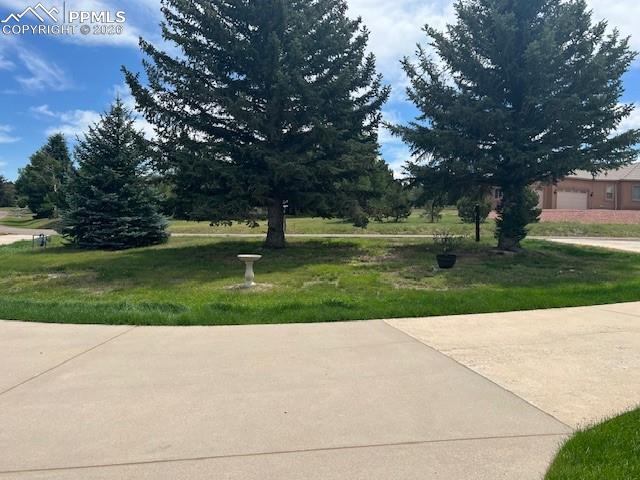 17840 New London Road Monument, CO 80132 - Photo 33 of 38 Mature trees at the property
