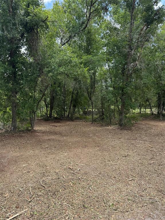 3101 Bruton Road Plant City, FL 33565 - Photo 5 of 13