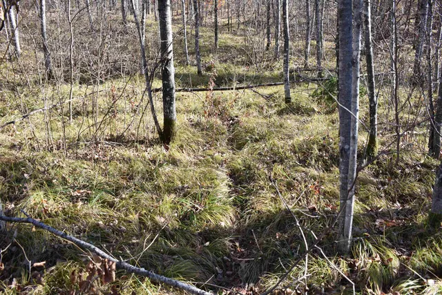 $59,000 | N13315 Harper Road, Athelstane, WI 54104