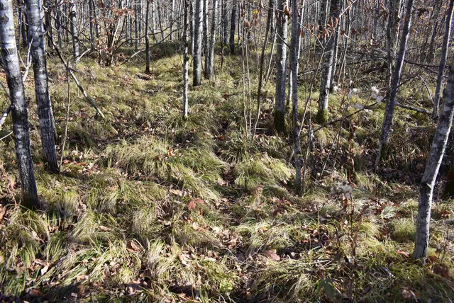 $59,000 | N13315 Harper Road, Athelstane, WI 54104