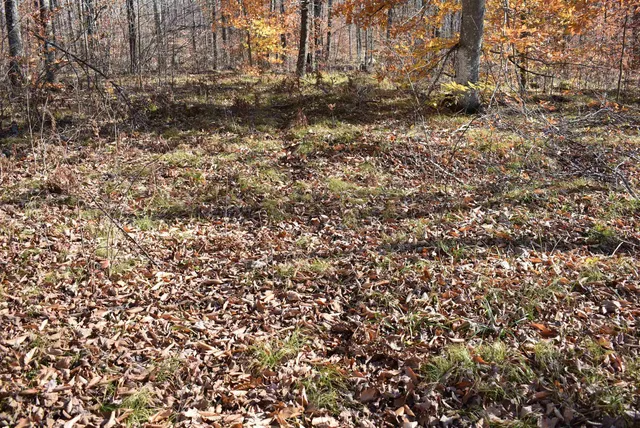 $59,000 | N13315 Harper Road, Athelstane, WI 54104