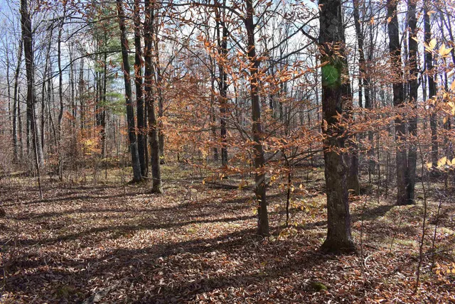 $59,000 | N13315 Harper Road, Athelstane, WI 54104