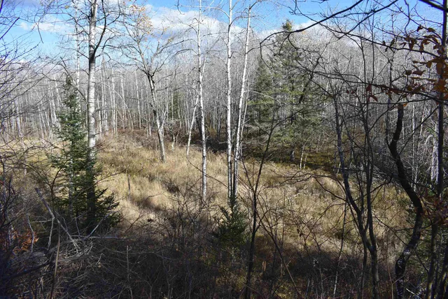 $59,000 | N13315 Harper Road, Athelstane, WI 54104