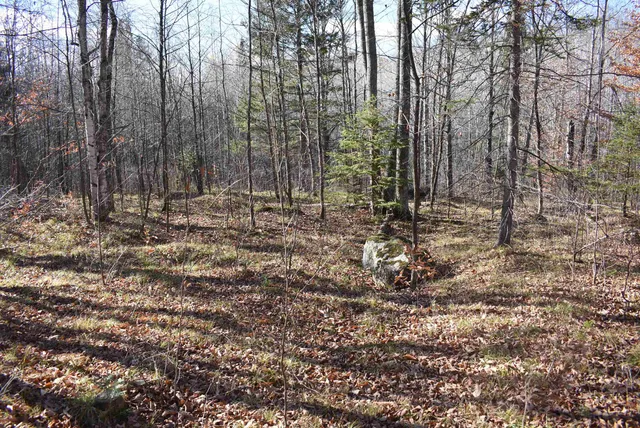 $59,000 | N13315 Harper Road, Athelstane, WI 54104