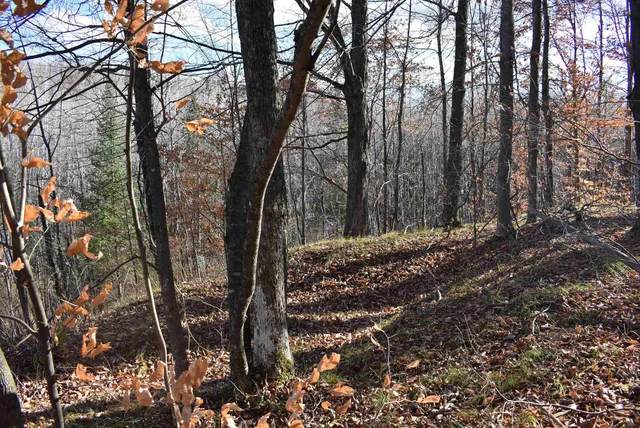 $59,000 | N13315 Harper Road, Athelstane, WI 54104