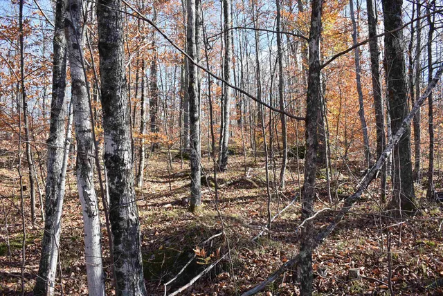 $59,000 | N13315 Harper Road, Athelstane, WI 54104