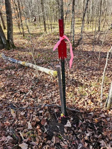 $59,000 | N13315 Harper Road, Athelstane, WI 54104