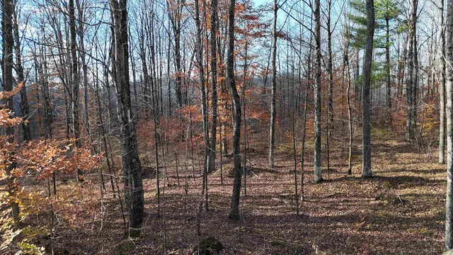 $59,000 | N13315 Harper Road, Athelstane, WI 54104