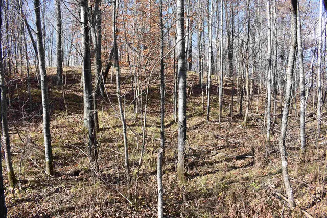 $59,000 | N13315 Harper Road, Athelstane, WI 54104