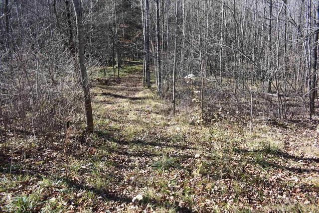 $59,000 | N13315 Harper Road, Athelstane, WI 54104