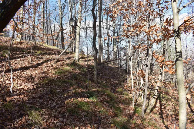 $59,000 | N13315 Harper Road, Athelstane, WI 54104