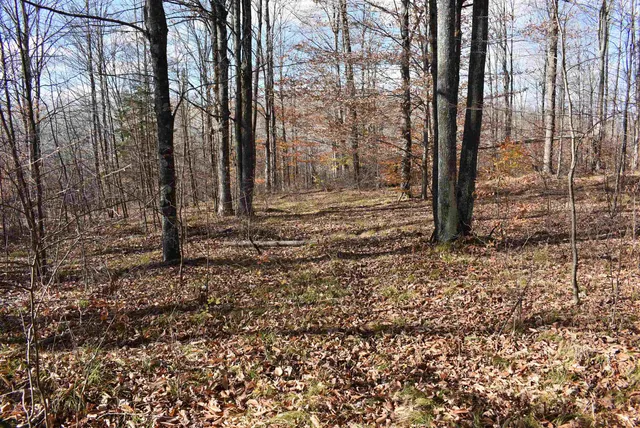 $59,000 | N13315 Harper Road, Athelstane, WI 54104