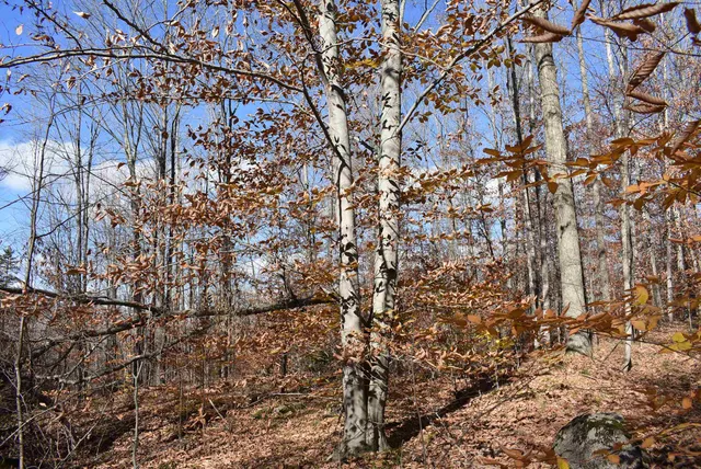 $59,000 | N13315 Harper Road, Athelstane, WI 54104