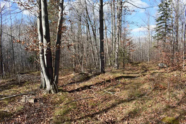 $59,000 | N13315 Harper Road, Athelstane, WI 54104