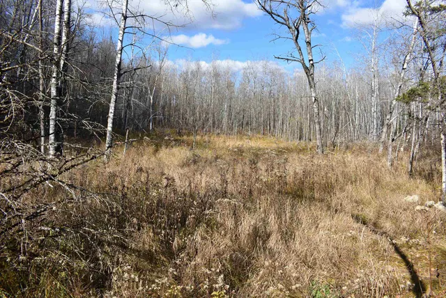 $59,000 | N13315 Harper Road, Athelstane, WI 54104