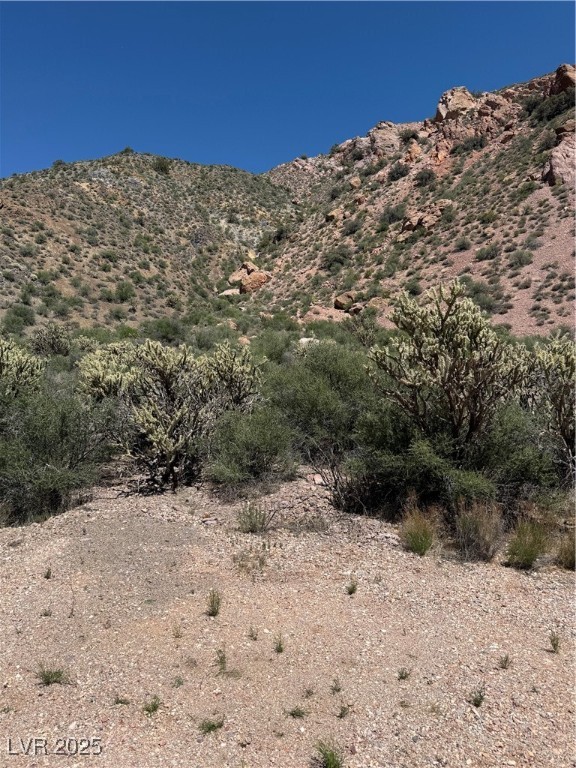 Carp Road Caliente, NV 89008 - Photo 13 of 43 Property view of mountains