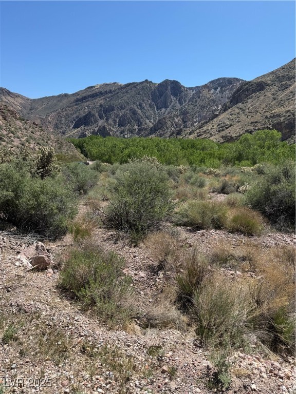 Carp Road Caliente, NV 89008 - Photo 14 of 43 Mountain view