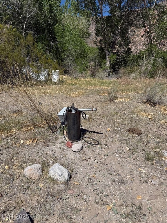 Carp Road Caliente, NV 89008 - Photo 20 of 43 View of yard