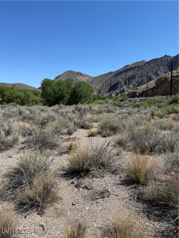 Carp Road Caliente, NV 89008 - Photo 21 of 43 Mountain view