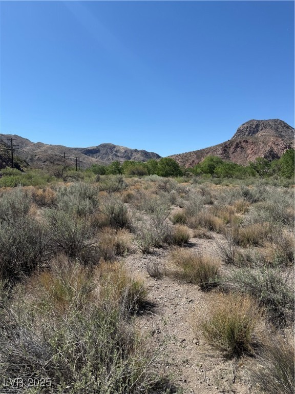 Carp Road Caliente, NV 89008 - Photo 23 of 43 Mountain view