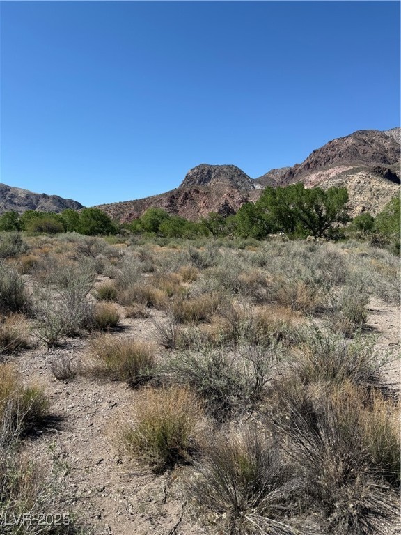 Carp Road Caliente, NV 89008 - Photo 24 of 43 Property view of mountains