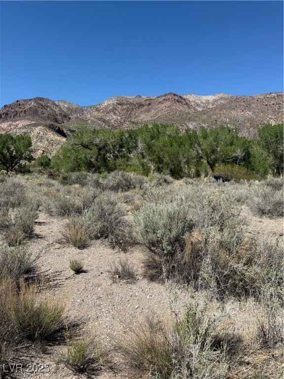 Carp Road Caliente, NV 89008 - Photo 25 of 43 Property view of mountains