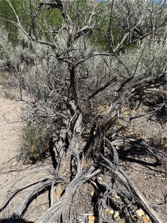 Carp Road Caliente, NV 89008 - Photo 26 of 43 View of nature