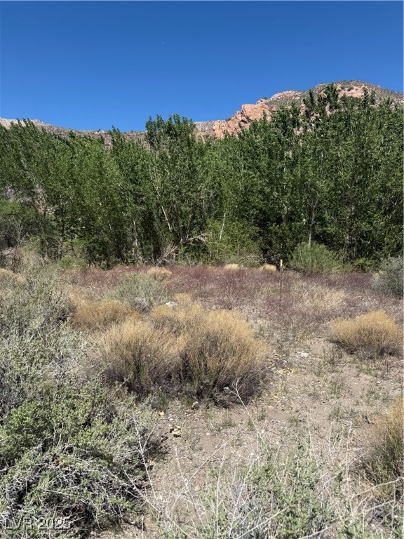 Carp Road Caliente, NV 89008 - Photo 27 of 43 View of nature