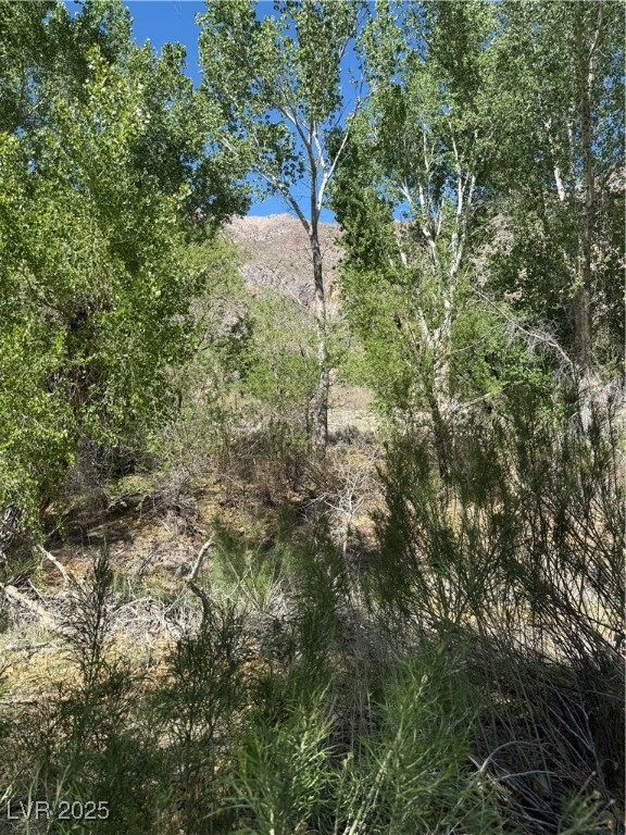 Carp Road Caliente, NV 89008 - Photo 31 of 43 View of landscape