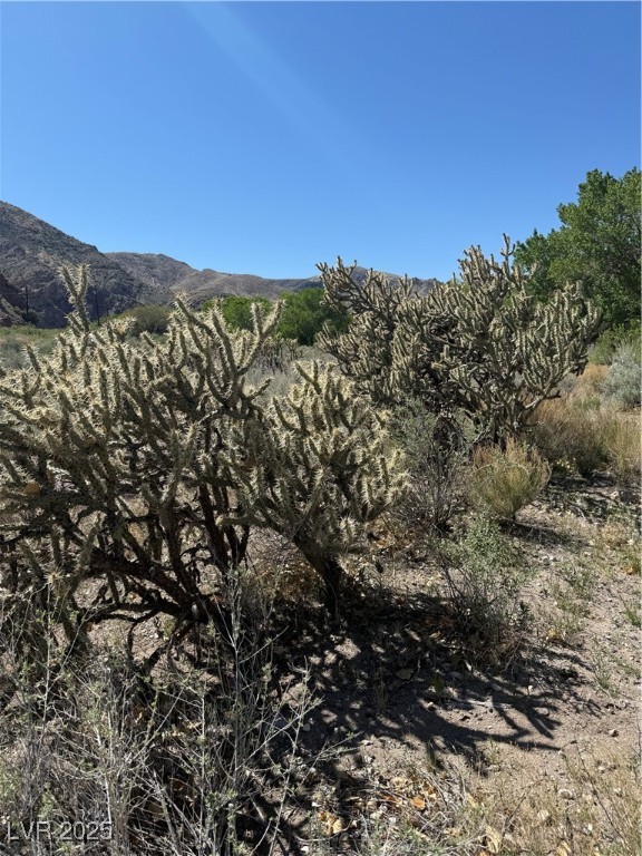 Carp Road Caliente, NV 89008 - Photo 32 of 43 View of mountain feature