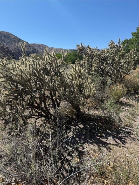 Carp Road Caliente, NV 89008 - Photo 33 of 43 Property view of mountains