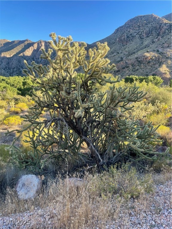Carp Road Caliente, NV 89008 - Photo 42 of 43 Mountain view